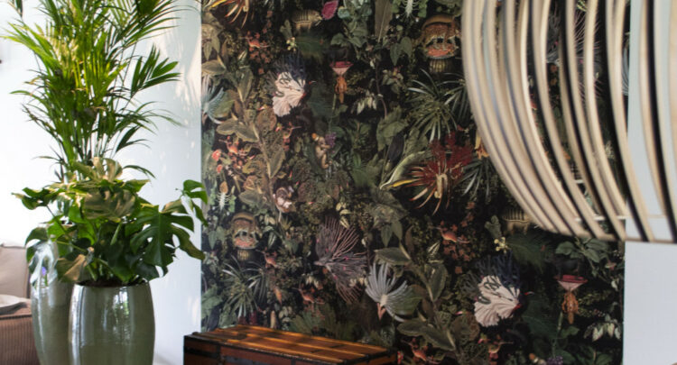 PLANTEN IN JE INTERIEUR: DE MOOISTE EXEMPLAREN VOOR BIJ JOU THUIS